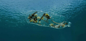 MARINE PLASTICS